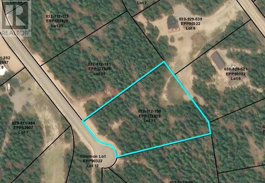Lot 31 Elkhorn Boulevard, Windermere, British Columbia  V0B 2L2 - Photo 8 - 10347040