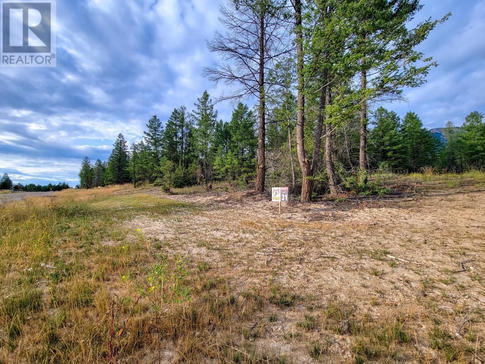 Lot 31 Elkhorn Boulevard, Windermere, British Columbia  V0B 2L2 - Photo 9 - 10347040