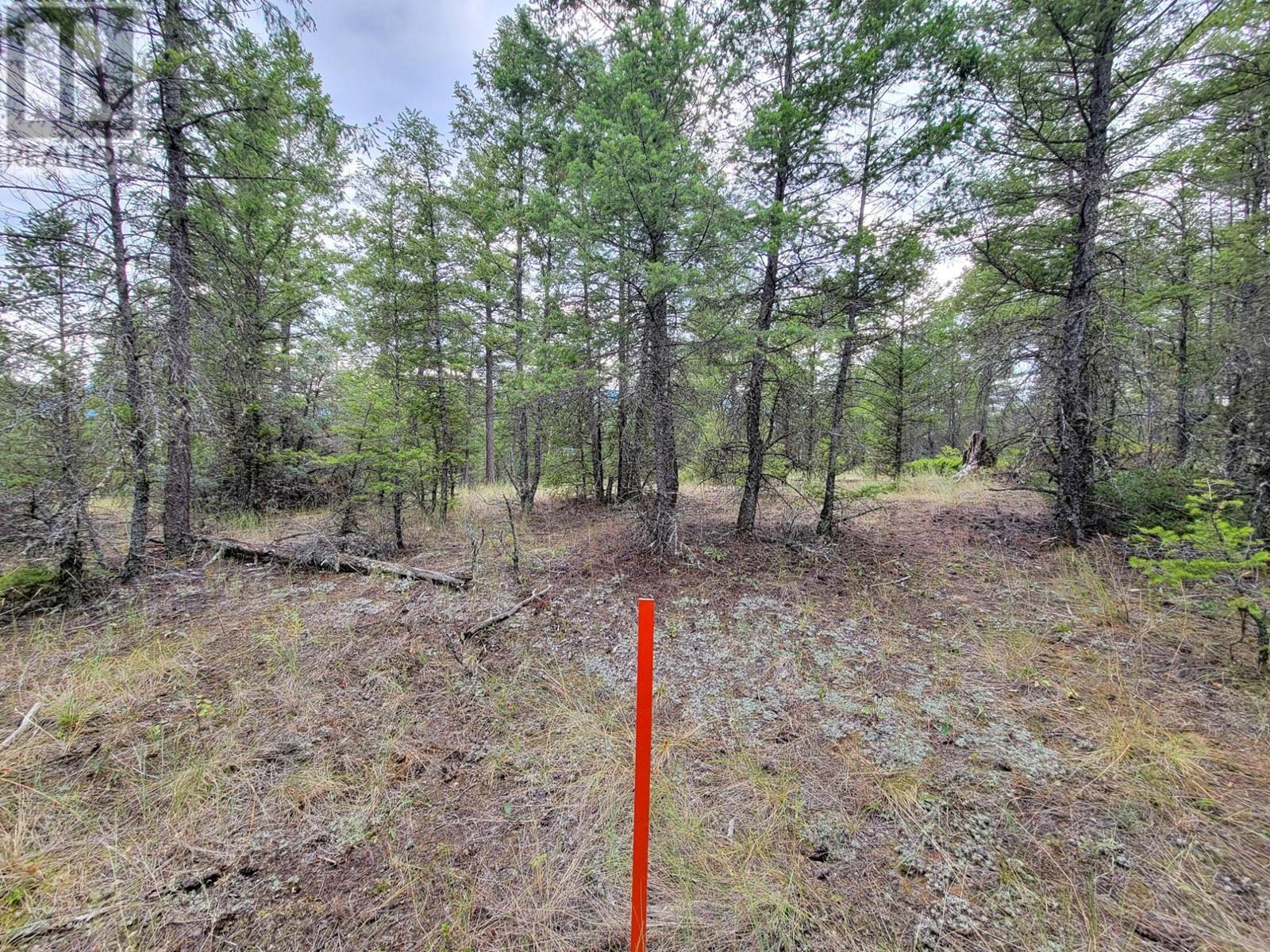 Lot 30 Elkhorn Boulevard, Windermere, British Columbia  V0B 2L2 - Photo 10 - 10347036