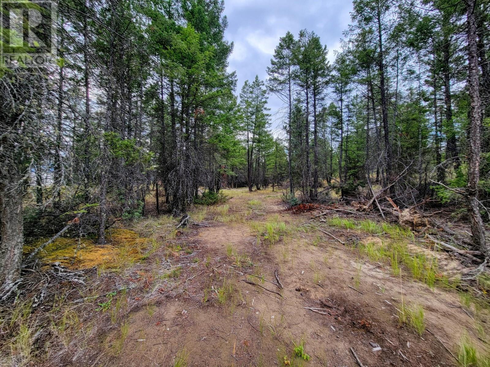 Lot 30 Elkhorn Boulevard, Windermere, British Columbia  V0B 2L2 - Photo 11 - 10347036