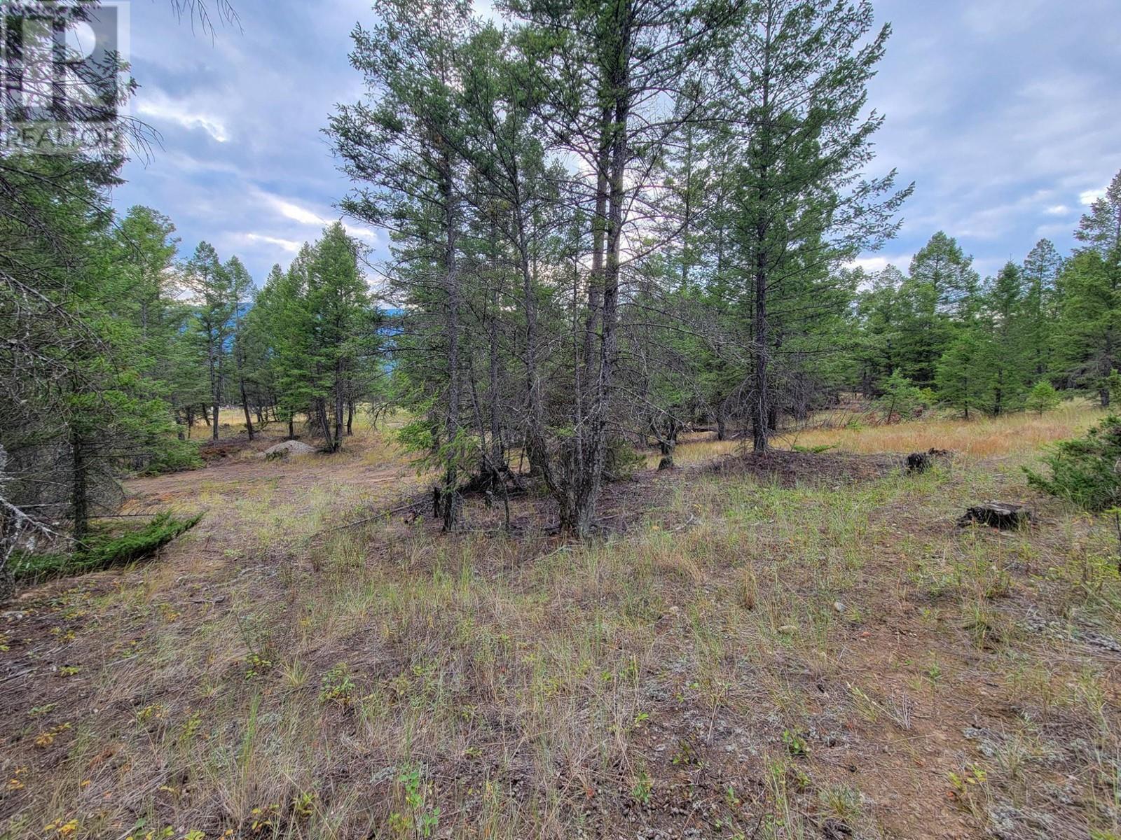 Lot 30 Elkhorn Boulevard, Windermere, British Columbia  V0B 2L2 - Photo 12 - 10347036