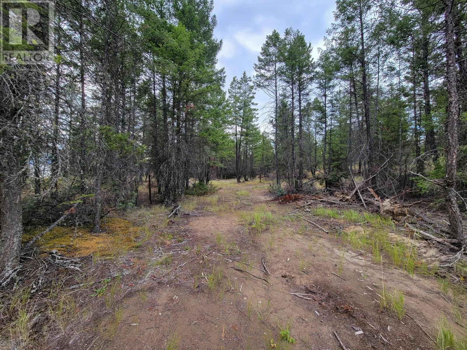 Lot 30 Elkhorn Boulevard, Windermere, British Columbia  V0B 2L2 - Photo 13 - 10347036