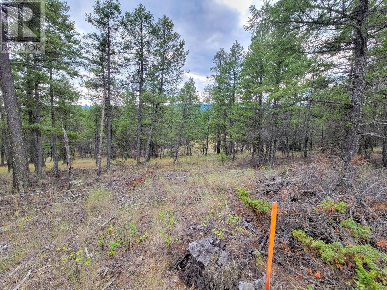 Lot 30 Elkhorn Boulevard, Windermere, British Columbia  V0B 2L2 - Photo 14 - 10347036