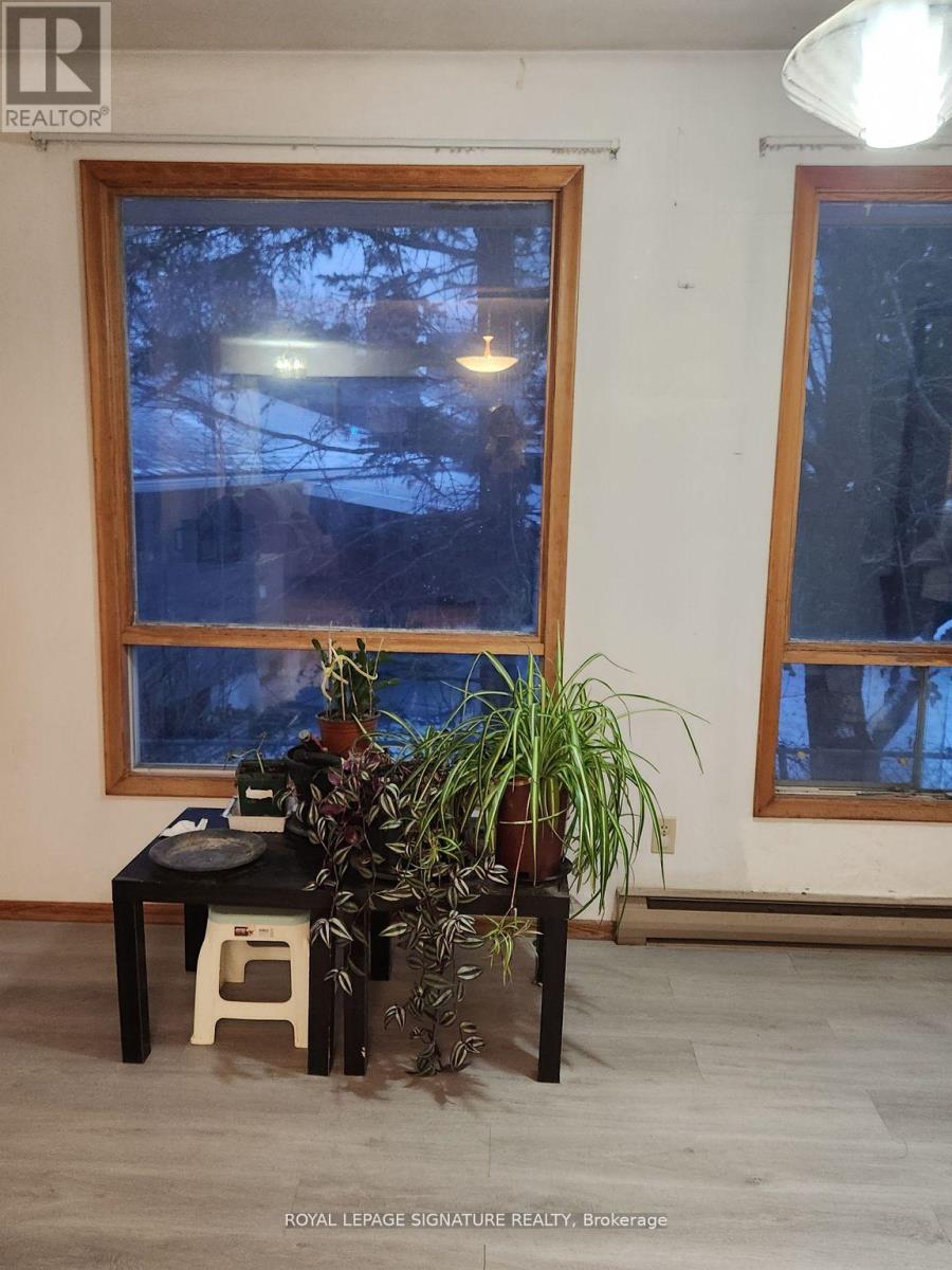 Upper (Room) - 43 Sorrel Place, Waterloo, Ontario  N2L 4H2 - Photo 3 - X12144572