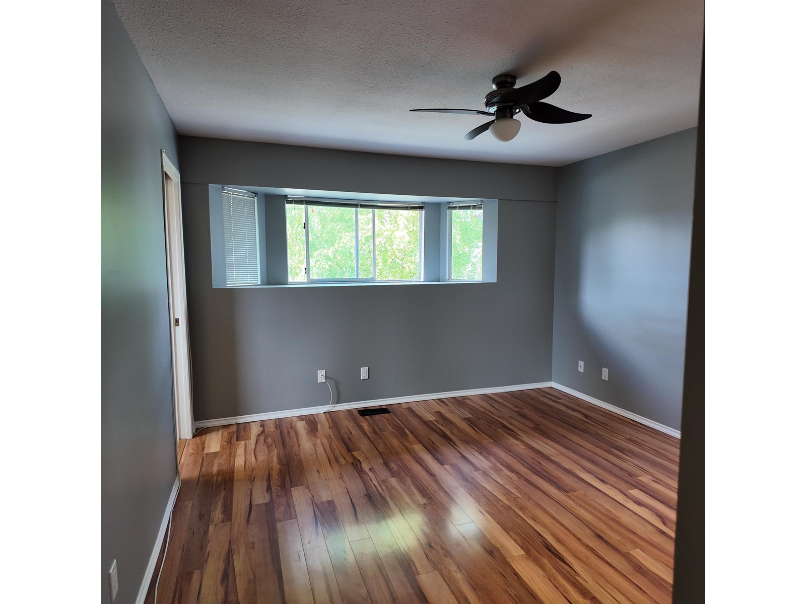 2724 272b Street, Langley, British Columbia  V4W 3K1 - Photo 7 - R2997001