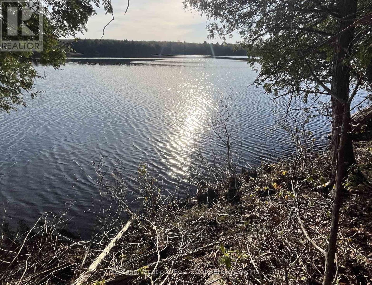 936b Bear Lake Road E, Mcmurrich/monteith, Ontario  P0A 1Y0 - Photo 4 - X12144924
