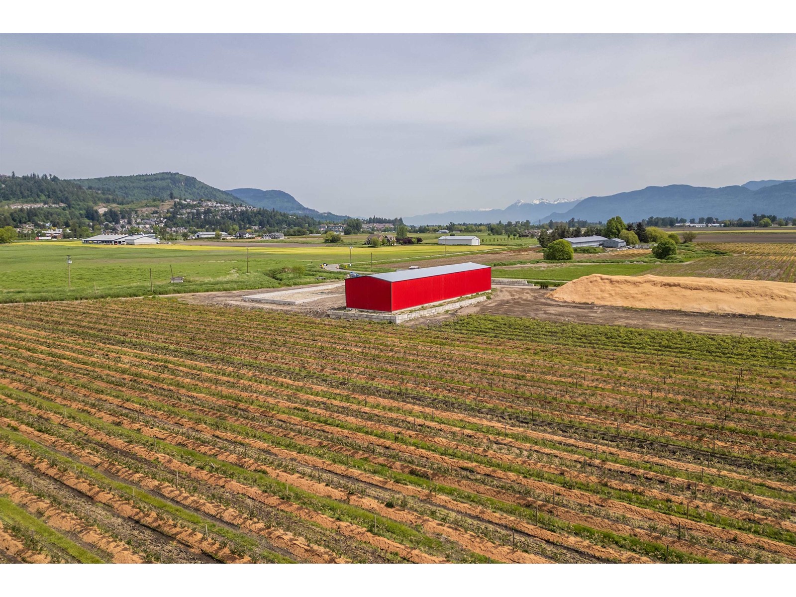 1245 Angus Campbell Road, Abbotsford, British Columbia  V3G 2G4 - Photo 9 - R2999838