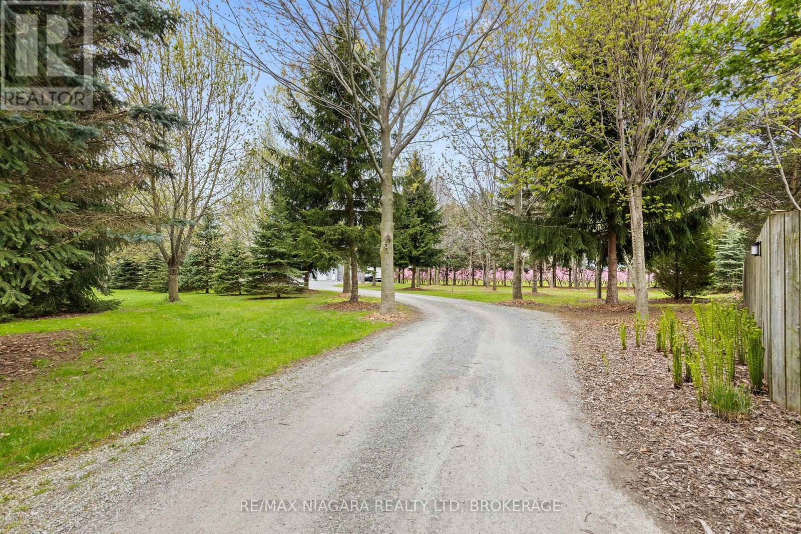 Property at 1382 MCNAB ROAD image 3