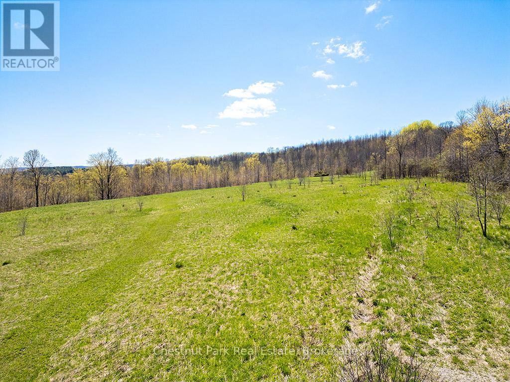 316270 3rd Line C, Grey Highlands, Ontario N0H 1N0 - Photo 28 - X12142703