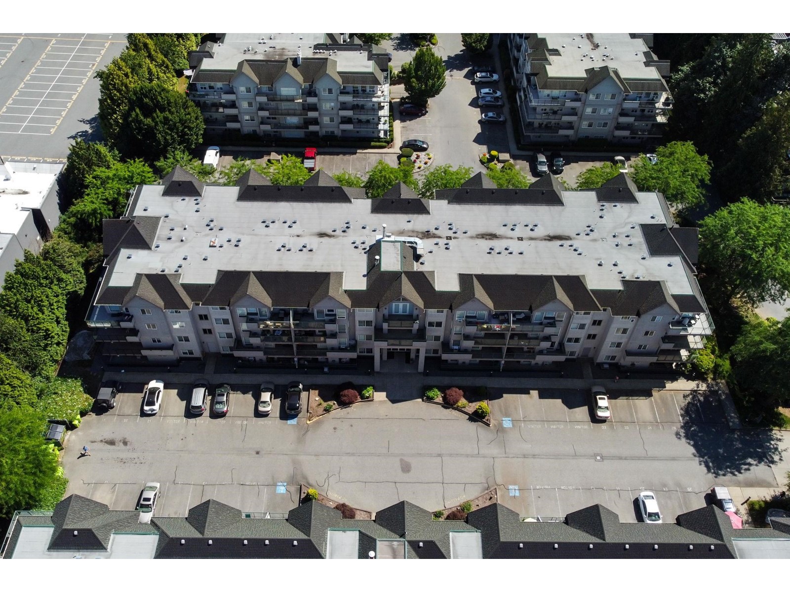 213 33728 King Road, Abbotsford, British Columbia  V2S 8J4 - Photo 38 - R3001066