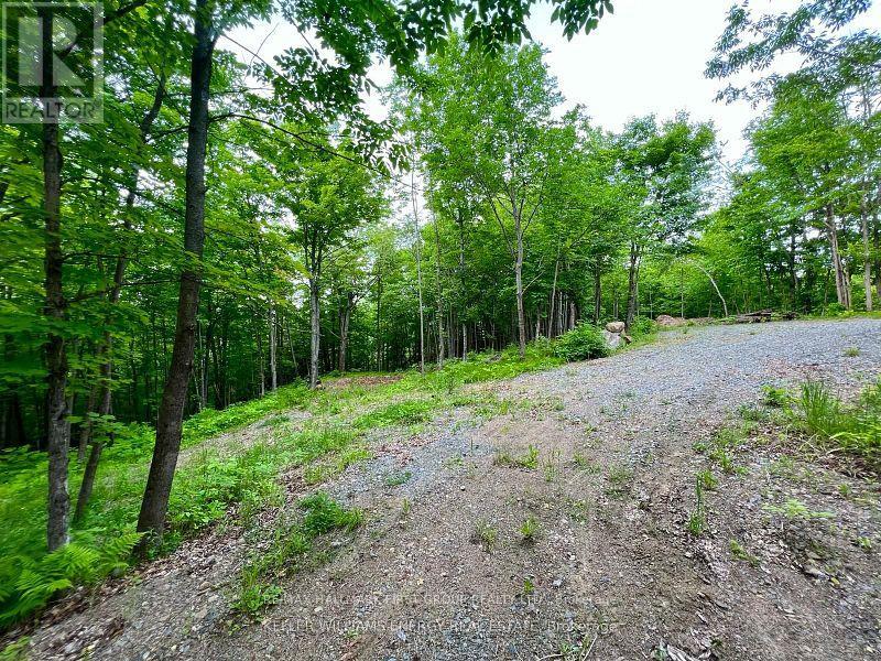 678 Centreview Road, Hastings Highlands, Ontario  K0J 1L0 - Photo 17 - X12026682