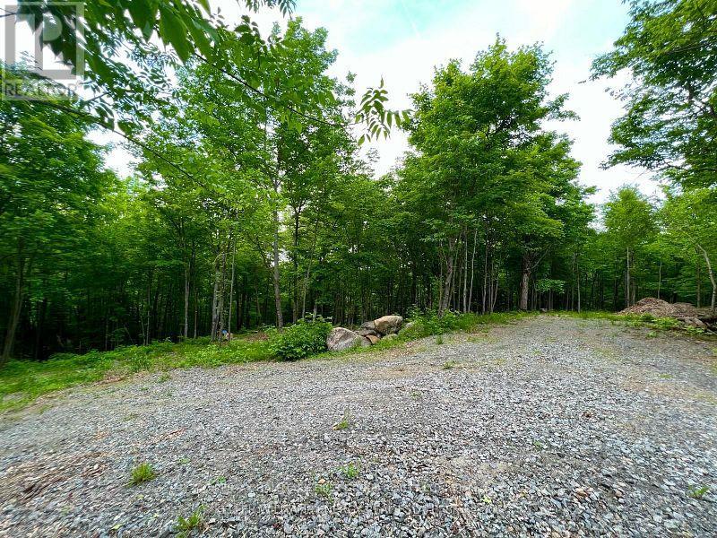 678 Centreview Road, Hastings Highlands, Ontario  K0J 1L0 - Photo 15 - X12026682