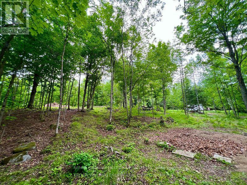 678 Centreview Road, Hastings Highlands, Ontario  K0J 1L0 - Photo 16 - X12026682