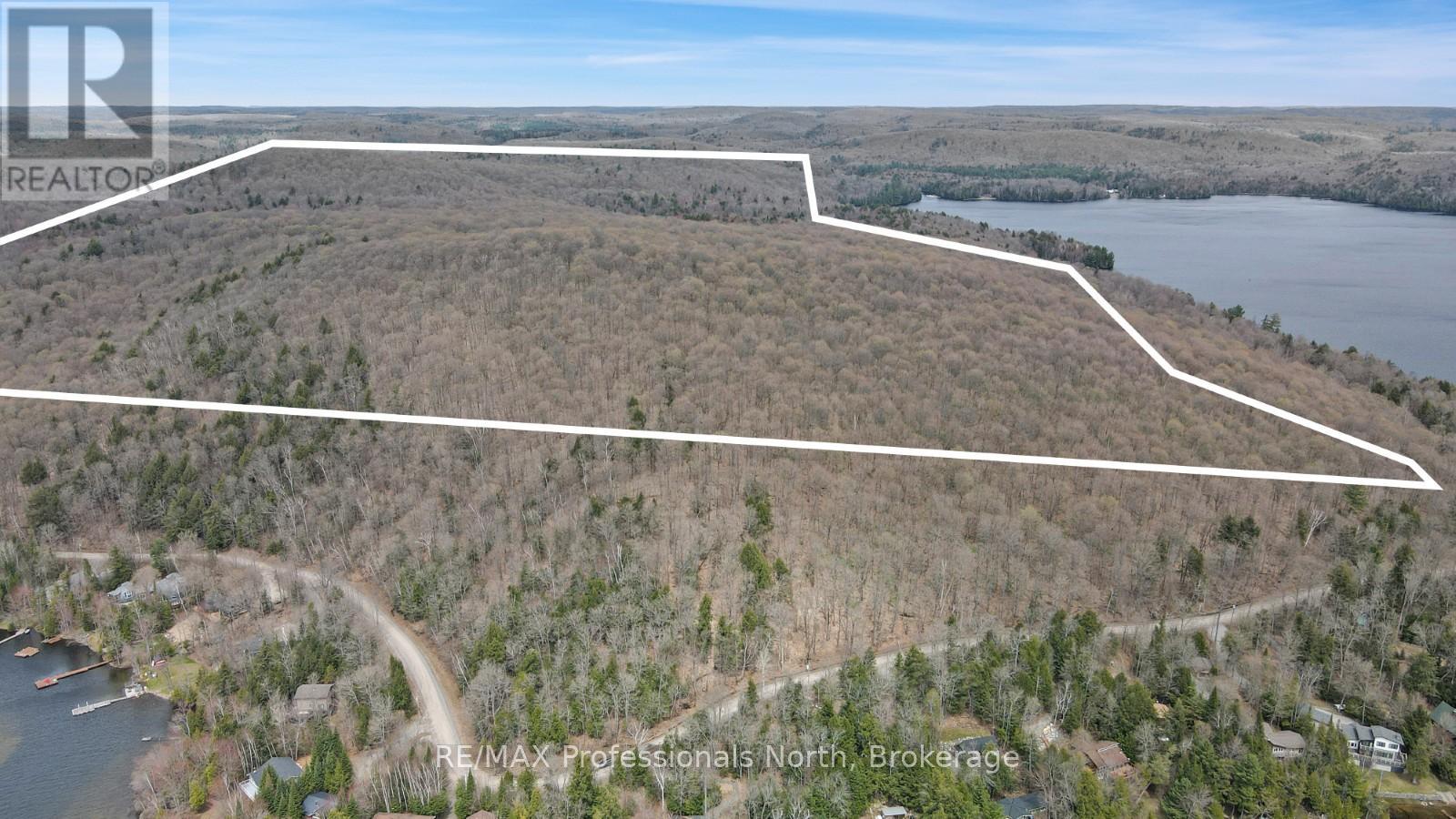 Property at 0 HALIBURTON LAKE ROAD image 4
