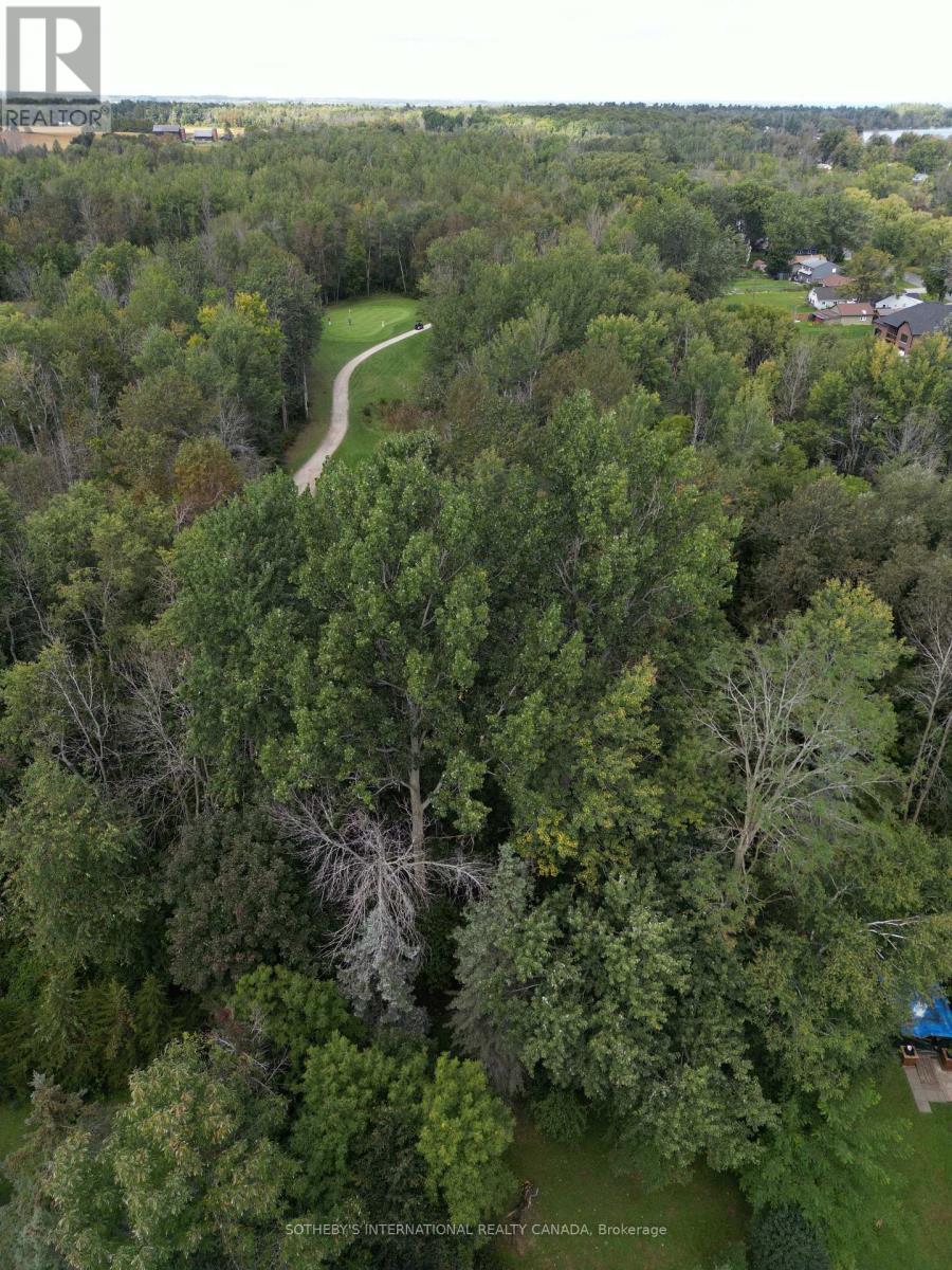 1120 North Shore Drive, Innisfil, Ontario  L0L 1R0 - Photo 3 - N12145087