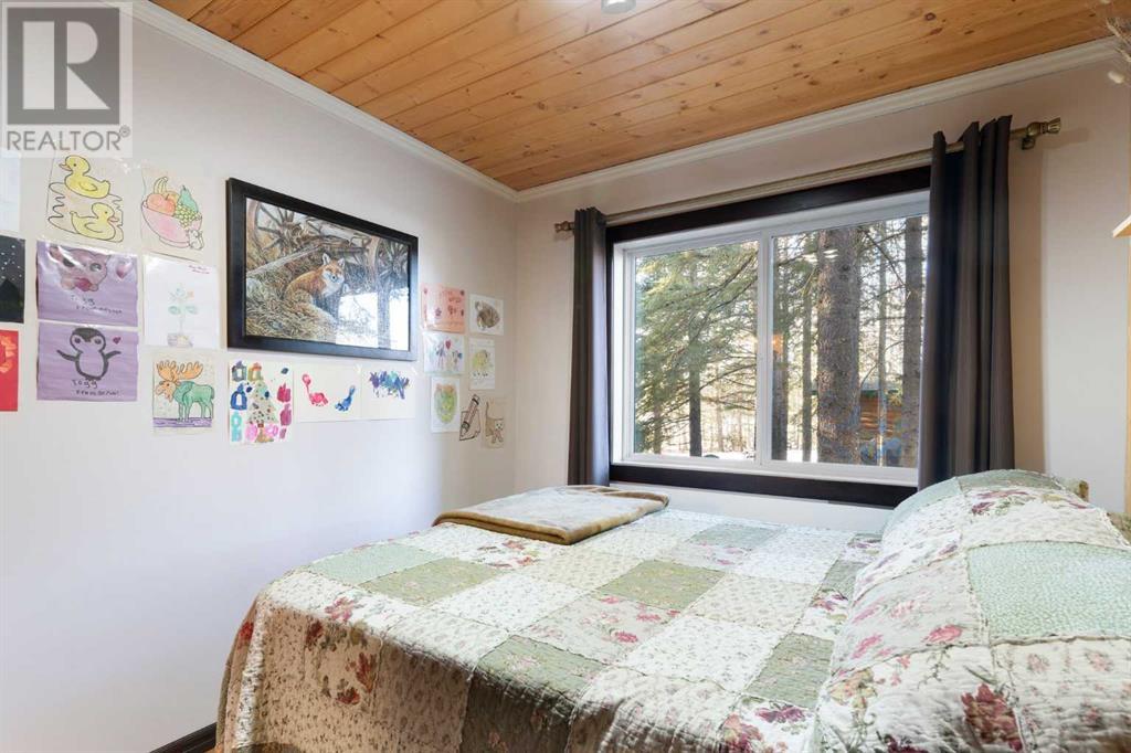 141, 5227 Township Road 320, Rural Mountain View County, Alberta  T0M 1X0 - Photo 19 - A2186214