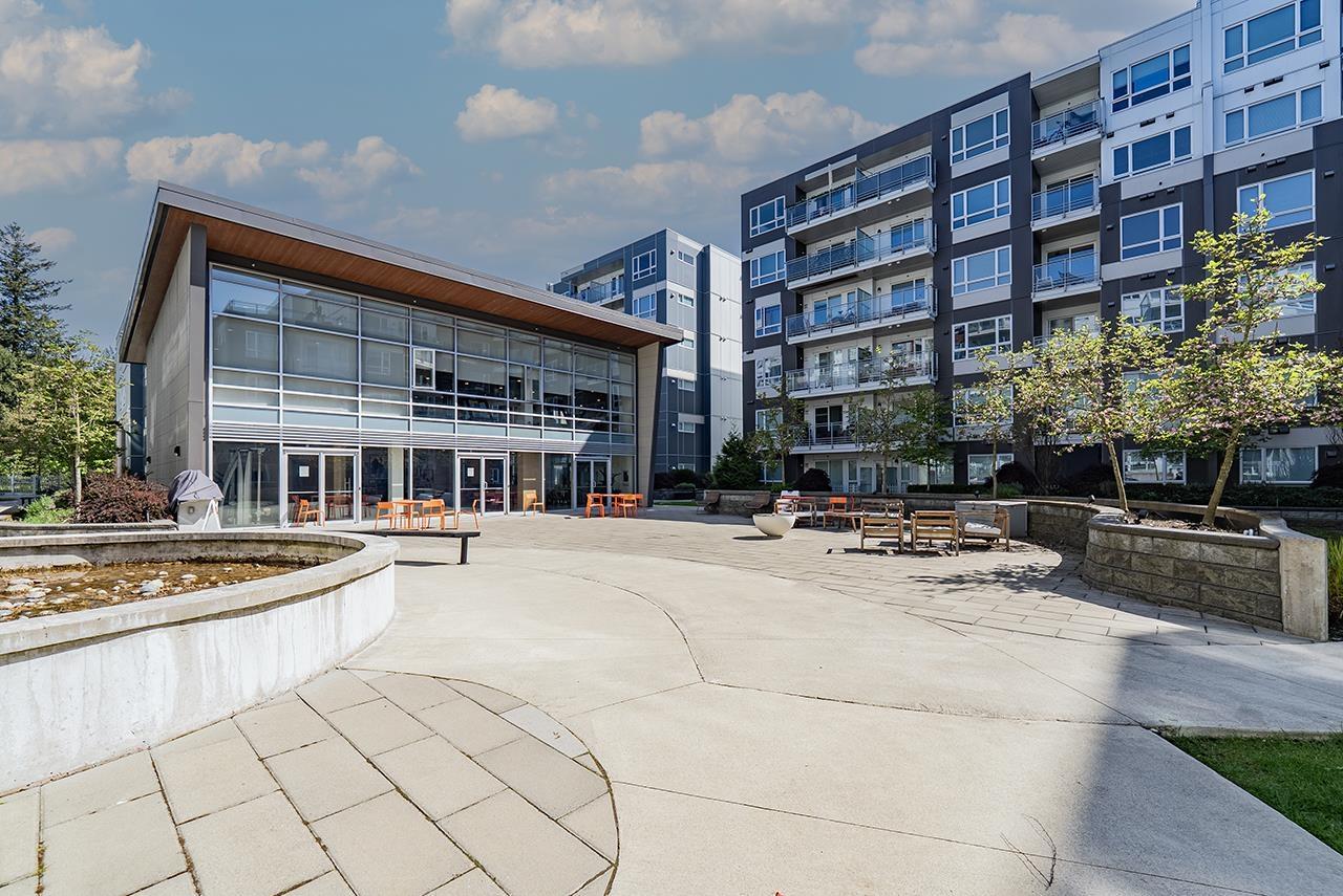 501 13963 105 Boulevard, Surrey, British Columbia  V4P 0G1 - Photo 14 - R3002217