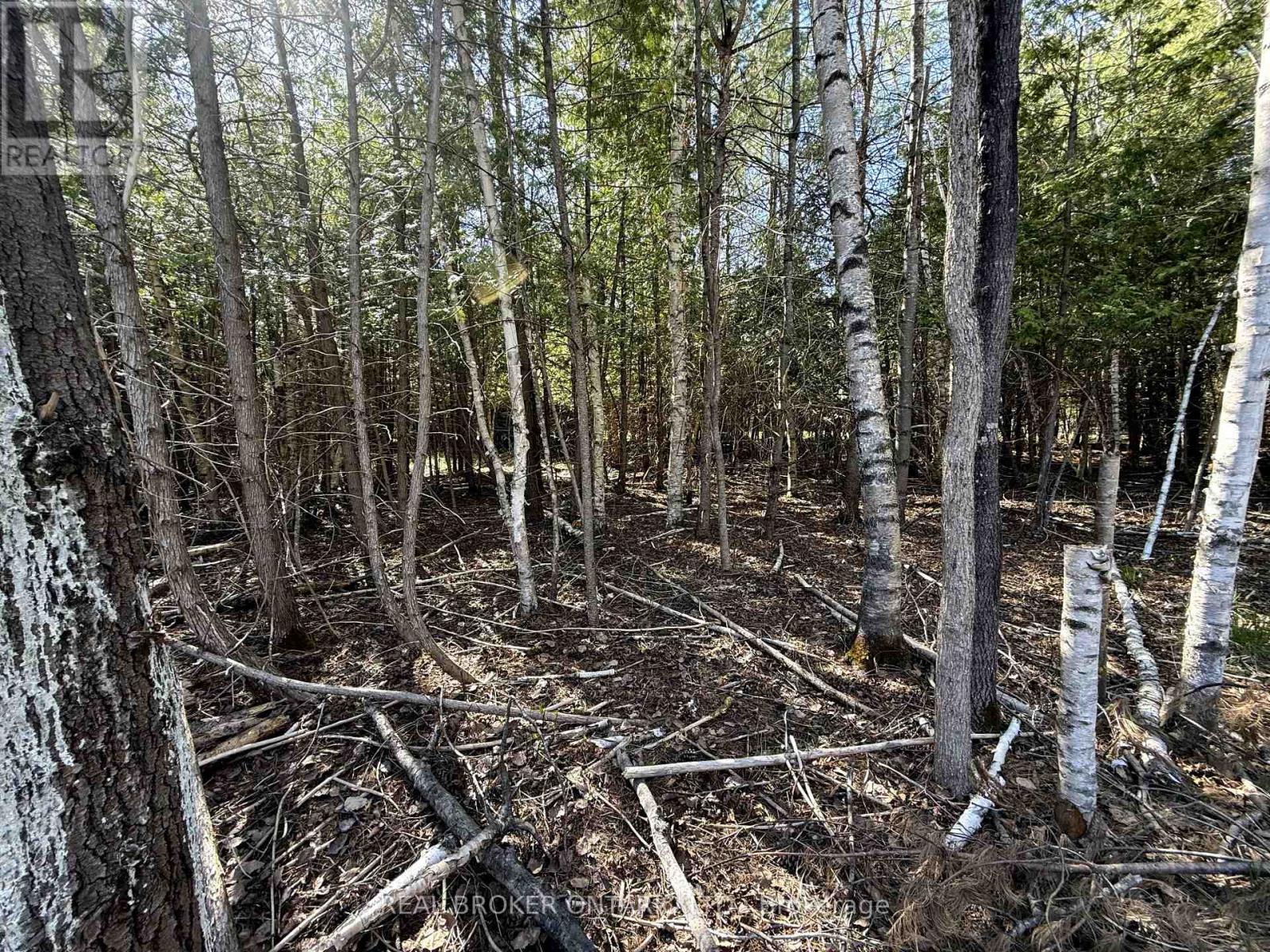 Lot 3 Watsons Corners Road, Lanark Highlands, Ontario  K0G 1K0 - Photo 4 - X12145431