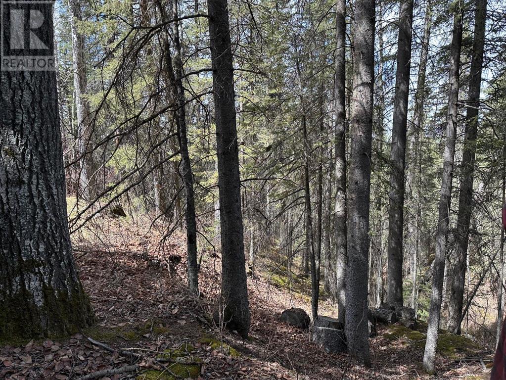 10, 32376 760 Highway, Rural Mountain View County, Alberta  T0M 1X0 - Photo 49 - A2206156