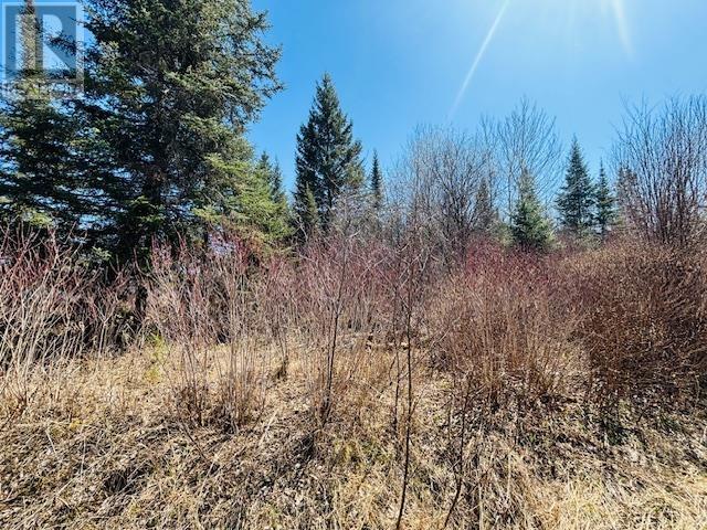 0 Hilly Lake Rd, Kenora, Ontario  P9N 3W8 - Photo 6 - TB251147