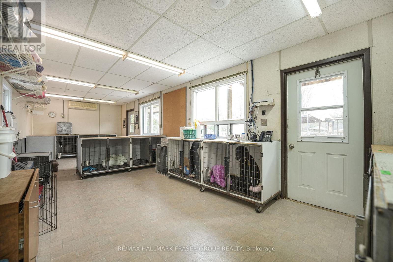 10246 Old Shiloh Road, Georgina, Ontario  L0E 1N0 - Photo 31 - N12145472