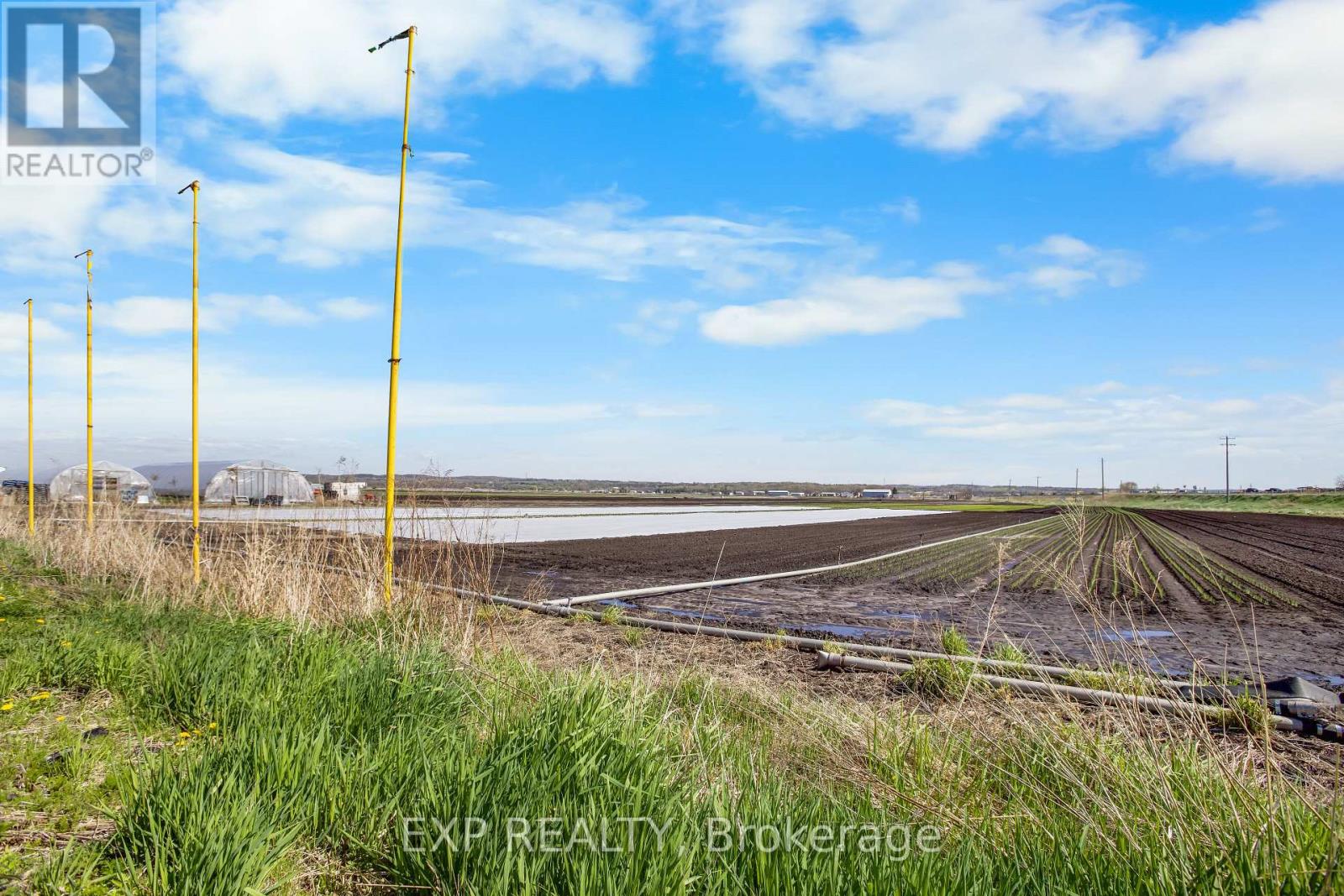 - Barn - 1153 Canal Road, Bradford West Gwillimbury, Ontario  L3Z 4E2 - Photo 8 - N12144766