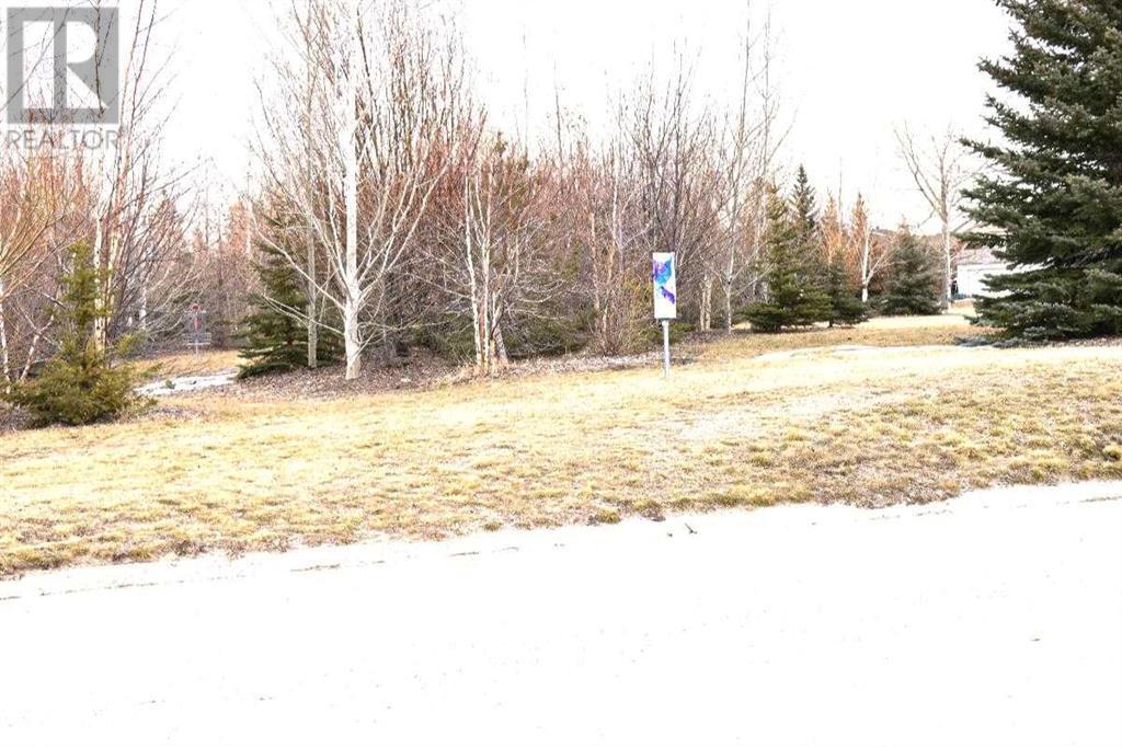 226 Parkview Estates, Strathmore, Alberta  T1P 1K8 - Photo 6 - A2204674