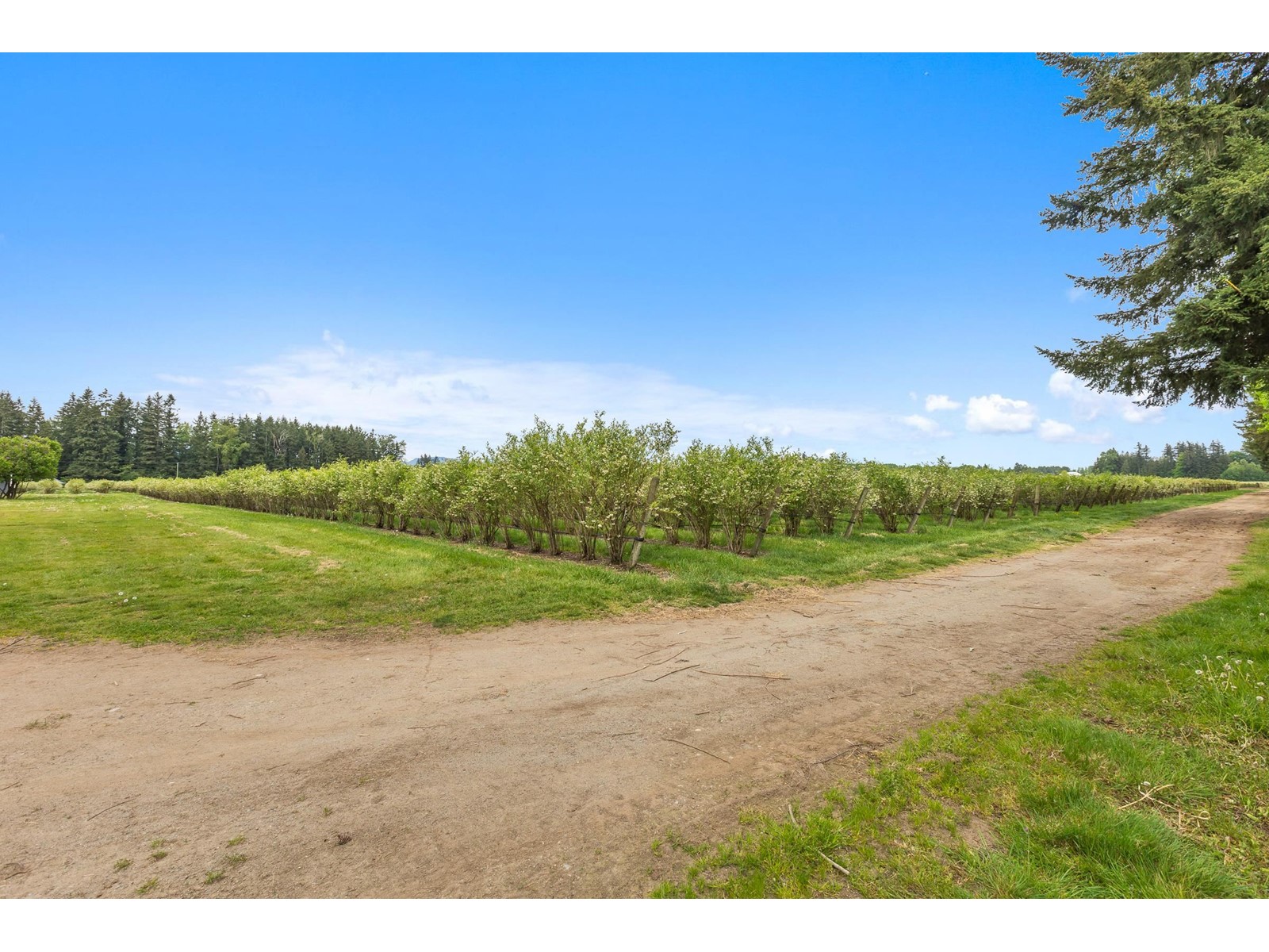 7060 240 Street, Langley, British Columbia  V1M 3P8 - Photo 17 - R3001676