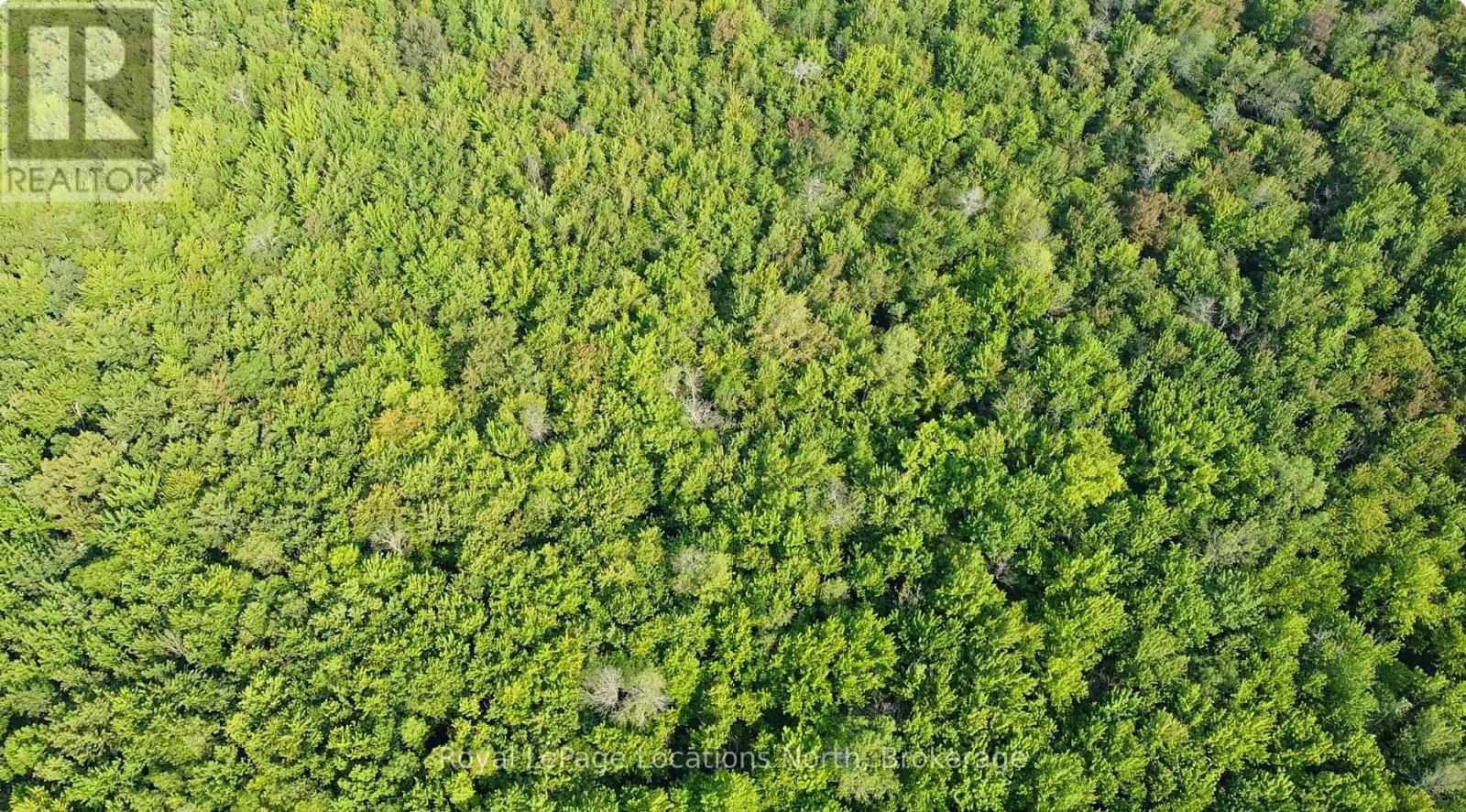 Lot 5 26 Highway, Meaford, Ontario  N4K 5W4 - Photo 5 - X12144134