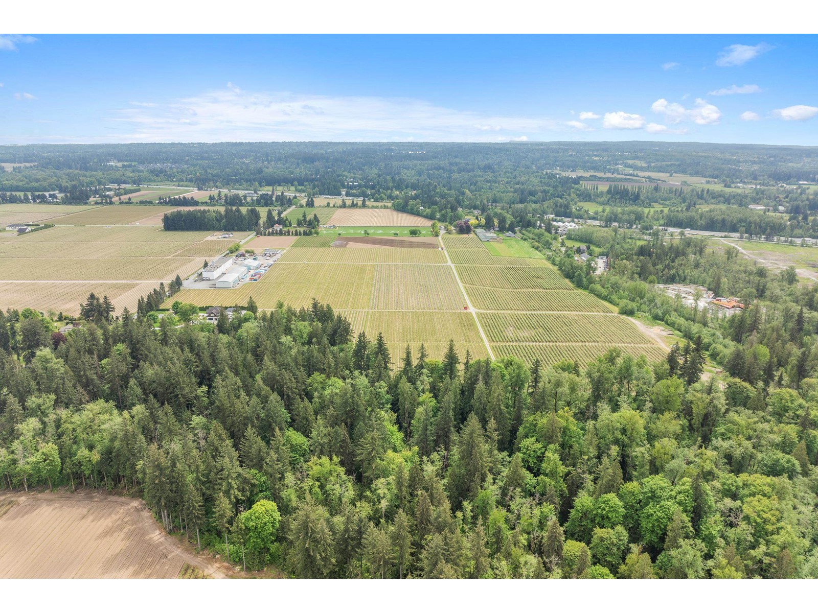 7361 240 Street, Langley, British Columbia  V1M 3P8 - Photo 15 - R3001681