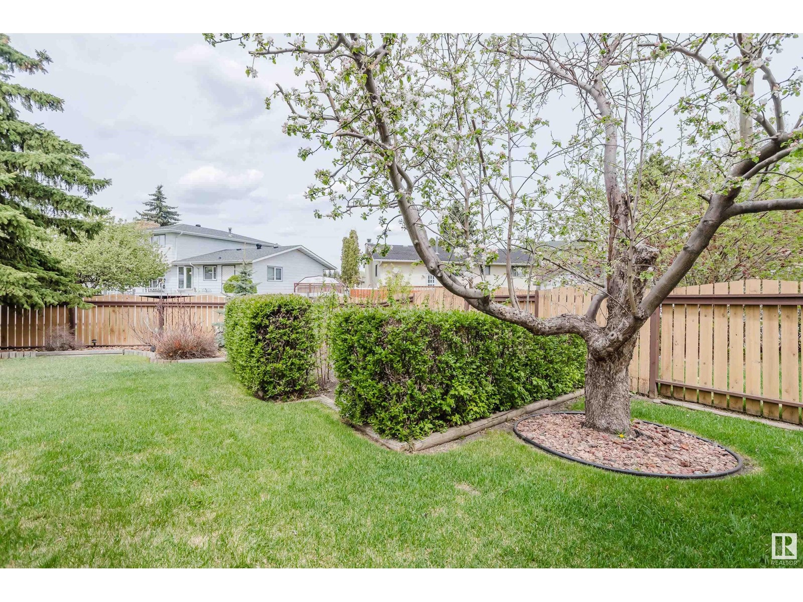 7224 11 Av Nw, Edmonton, Alberta  T6K 3R1 - Photo 46 - E4436217