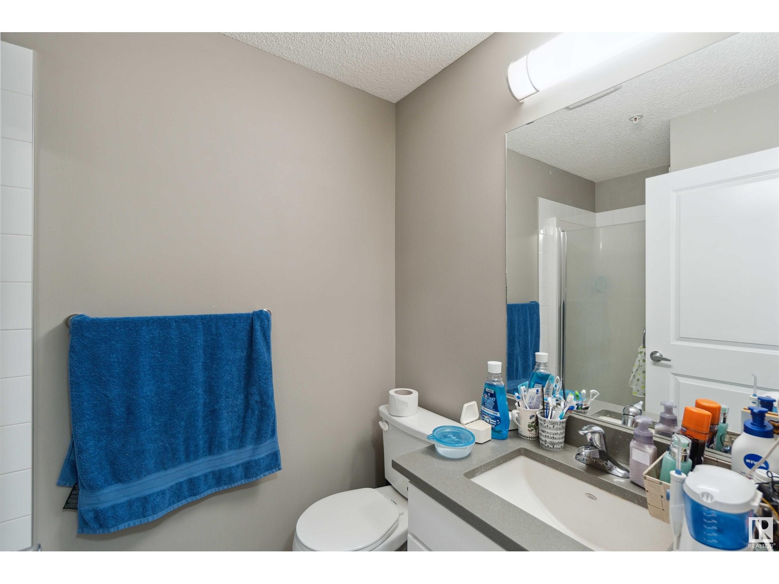 #206 394 Windermere Rd Nw, Edmonton, Alberta  T6W 0R1 - Photo 11 - E4429702