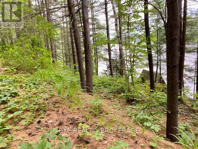 1034 Browns Lane, Frontenac (Frontenac North), Ontario  K0H 1C0 - Photo 25 - X12145957