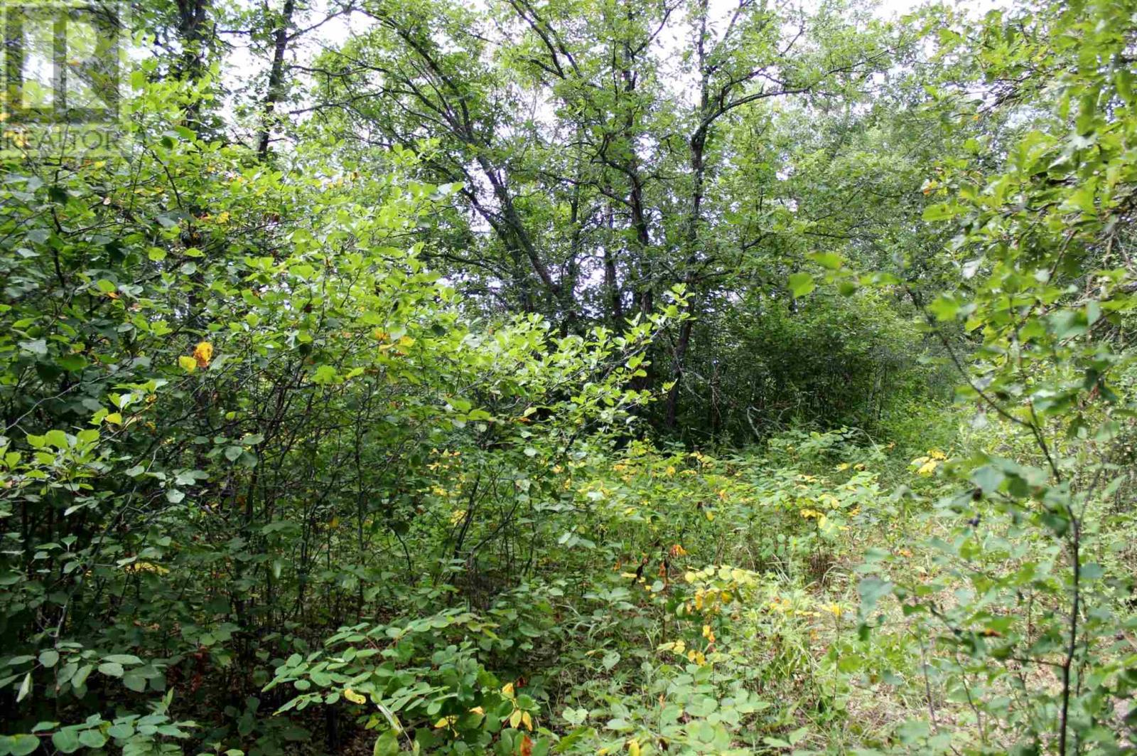 Pt Lt 9 Con 6 Morrison Rd, Morson, Ontario  P0W 1J0 - Photo 21 - TB251151