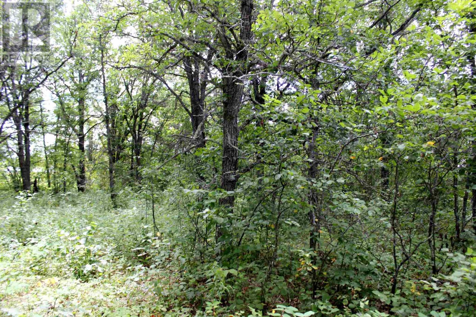Pt Lt 9 Con 6 Morrison Rd, Morson, Ontario  P0W 1J0 - Photo 23 - TB251151