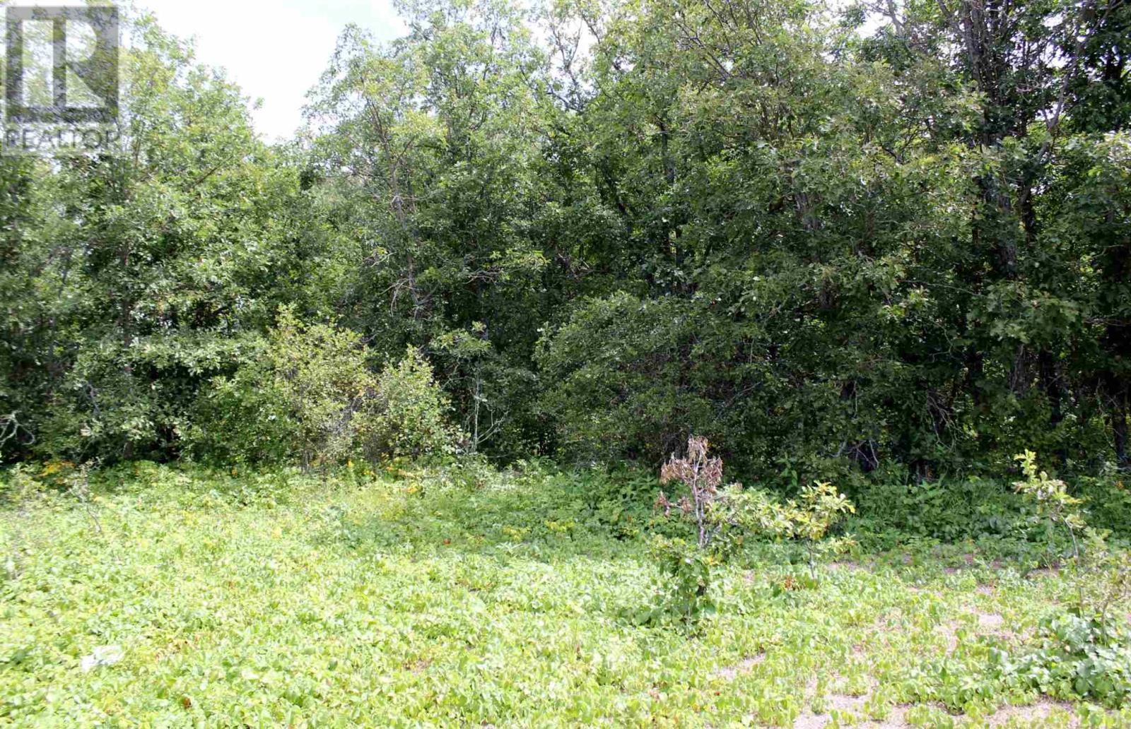 Pt Lt 9 Con 6 Morrison Rd, Morson, Ontario  P0W 1J0 - Photo 26 - TB251151