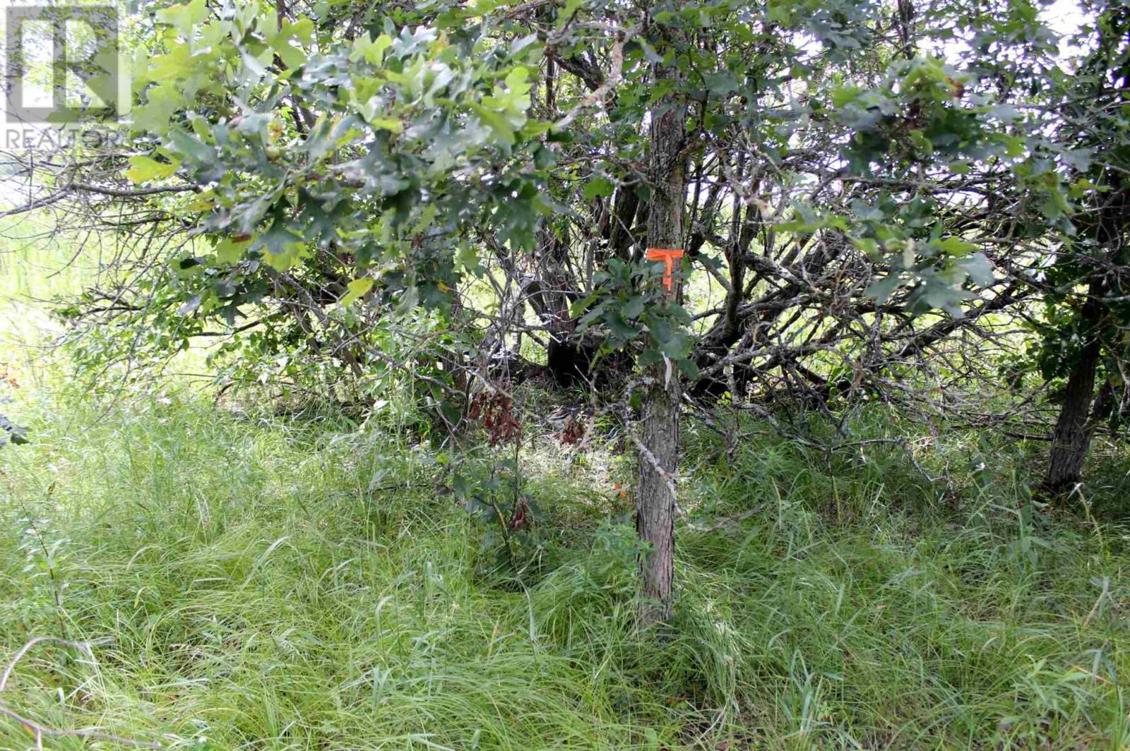 Pt Lt 9 Con 6 Morrison Rd, Morson, Ontario  P0W 1J0 - Photo 28 - TB251151