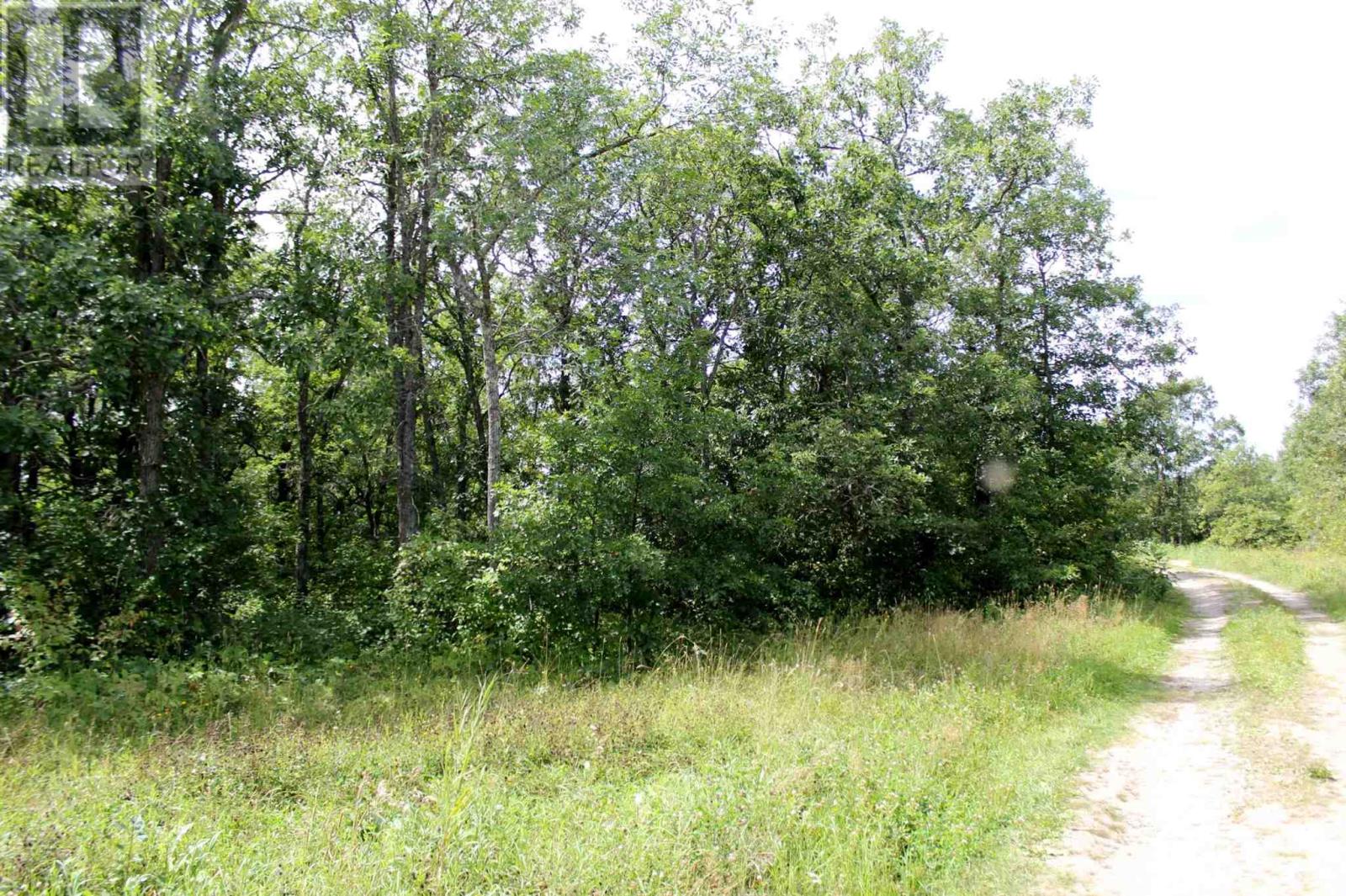Pt Lt 9 Con 6 Morrison Rd, Morson, Ontario  P0W 1J0 - Photo 19 - TB251151