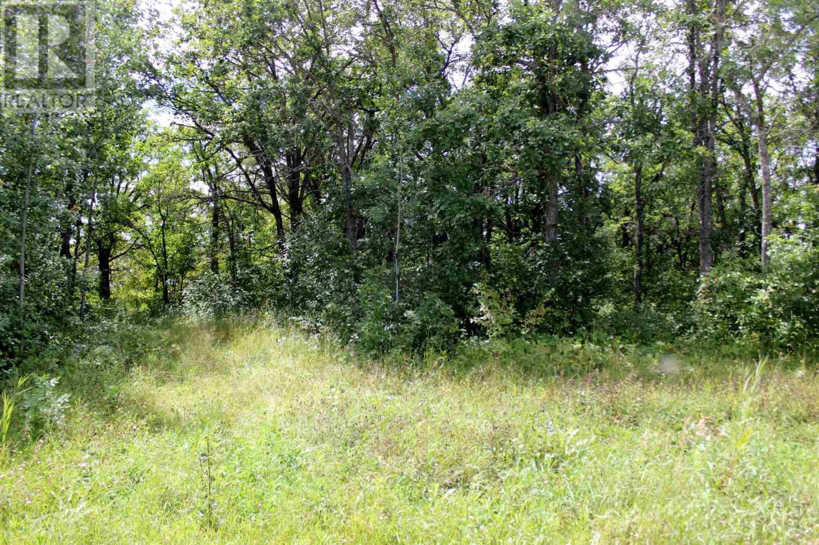 Pt Lt 9 Con 6 Morrison Rd, Morson, Ontario  P0W 1J0 - Photo 20 - TB251151