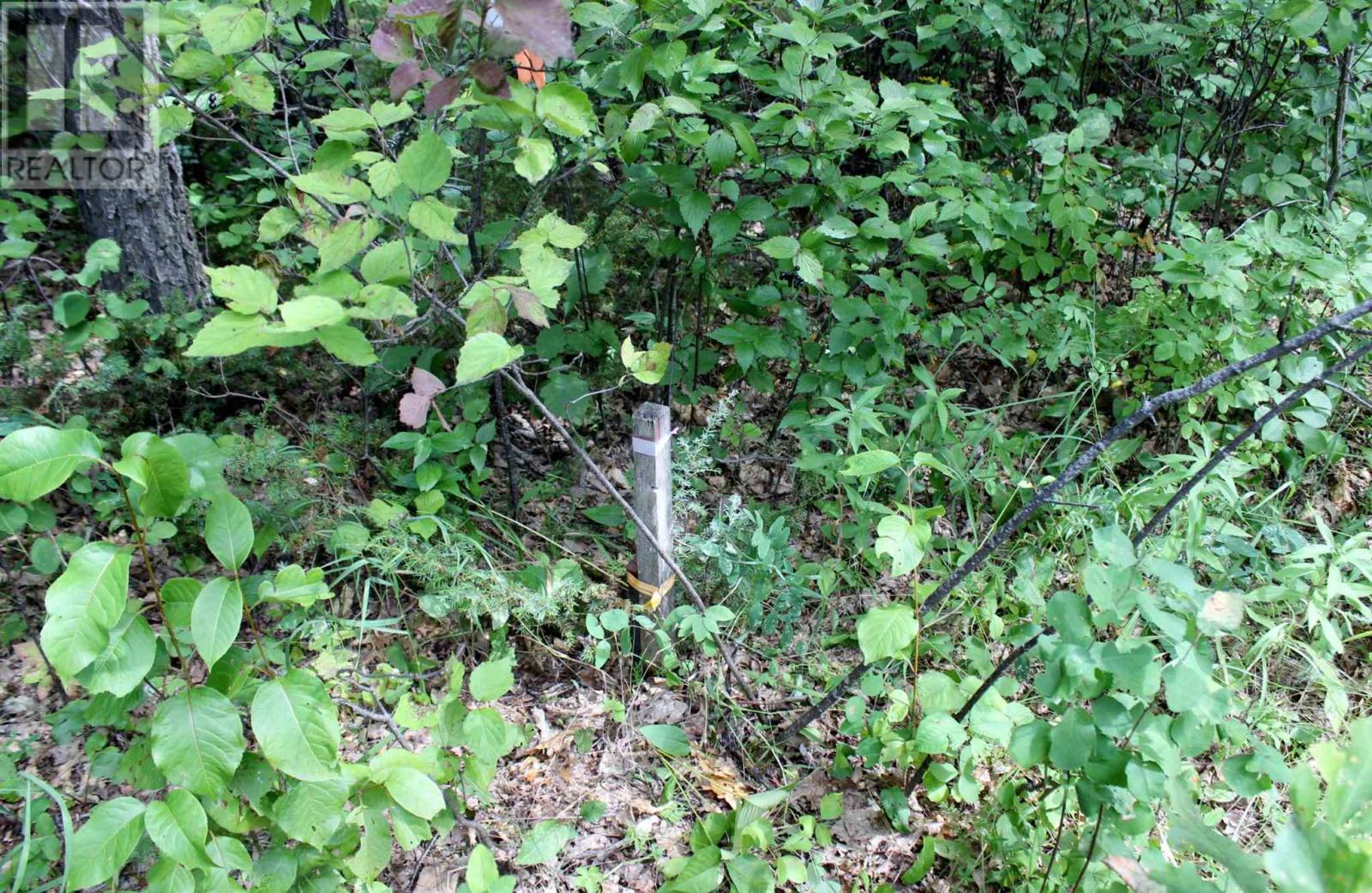 Pt Lt 9 Con 6 Morrison Rd, Morson, Ontario  P0W 1J0 - Photo 24 - TB251151