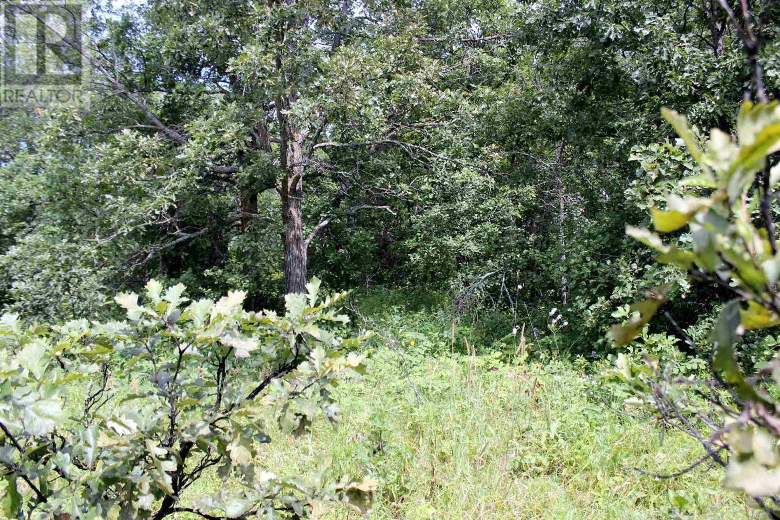 Pt Lt 9 Con 6 Morrison Rd, Morson, Ontario  P0W 1J0 - Photo 27 - TB251151