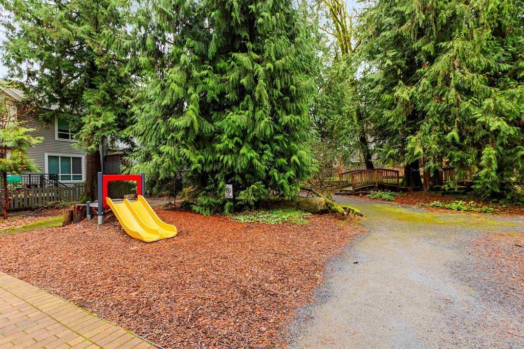 2 9718 161a Street, Surrey, British Columbia  V4N 6S7 - Photo 30 - R3002474