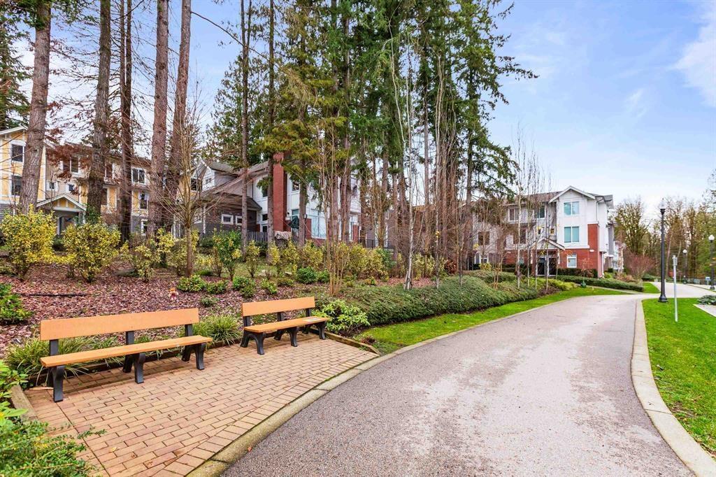 2 9718 161a Street, Surrey, British Columbia  V4N 6S7 - Photo 40 - R3002474
