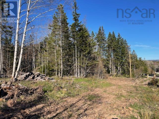 0000 Eskasoni Road, Island View, Nova Scotia  B1J 1K5 - Photo 3 - 202510863