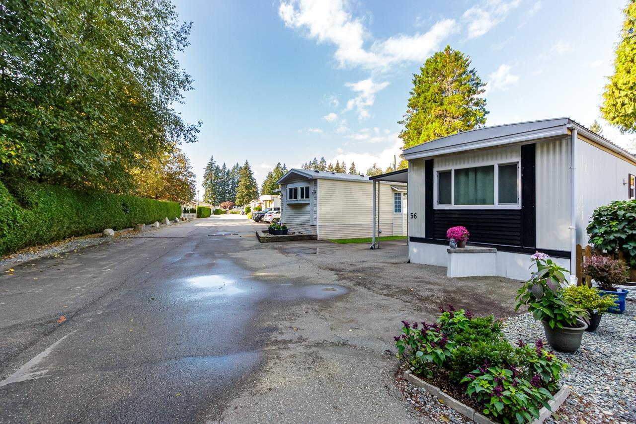 56 9080 198 Street, Langley, British Columbia  V1M 3A8 - Photo 23 - R3001940