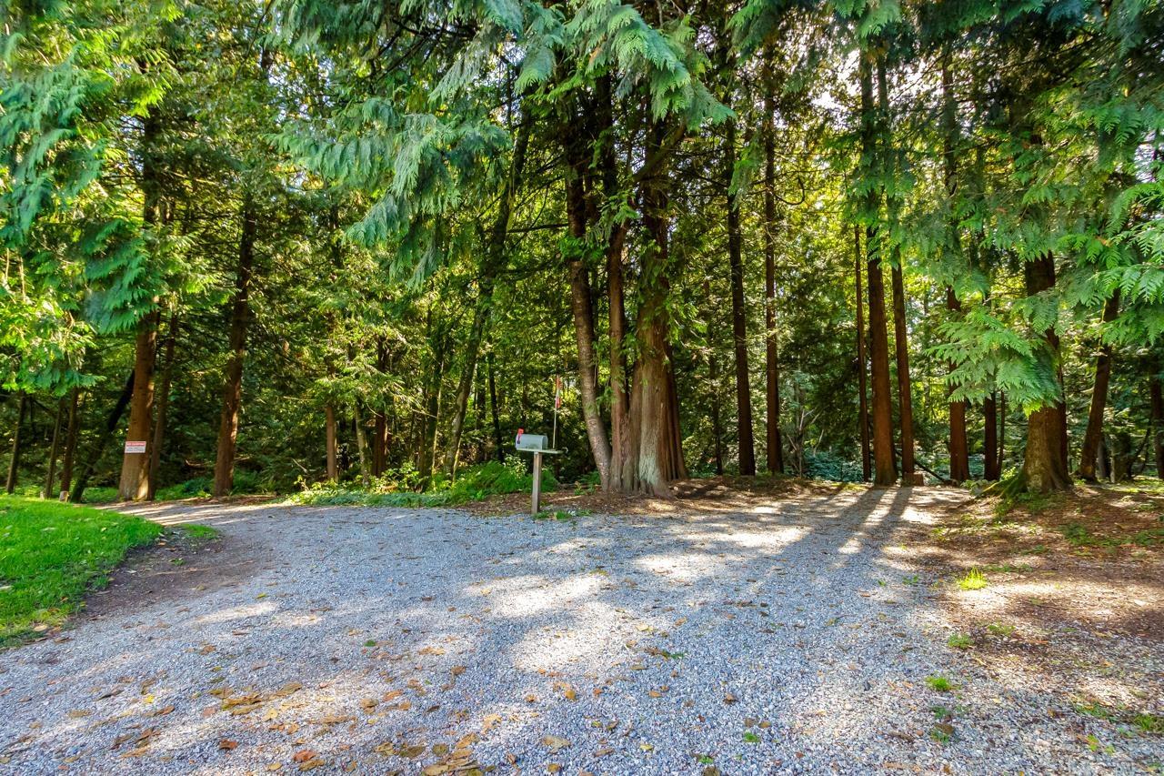 56 9080 198 Street, Langley, British Columbia  V1M 3A8 - Photo 25 - R3001940