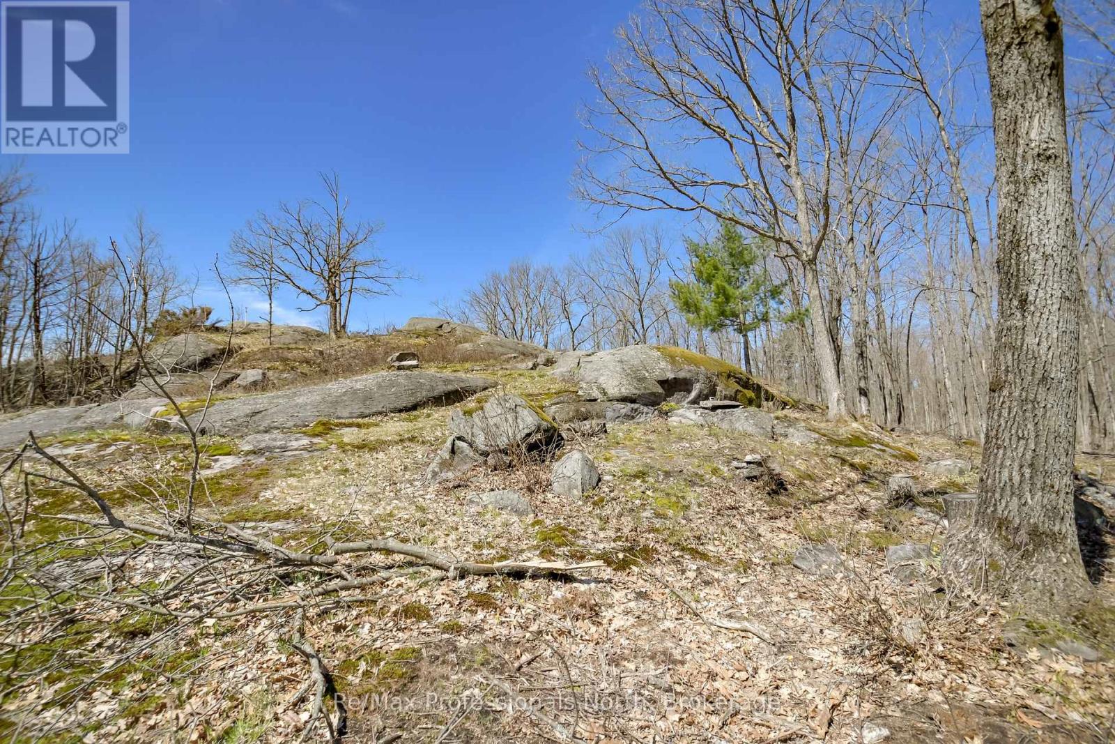 1017 Barlochan Road, Muskoka Lakes, Ontario  P1P 1R2 - Photo 40 - X12018767