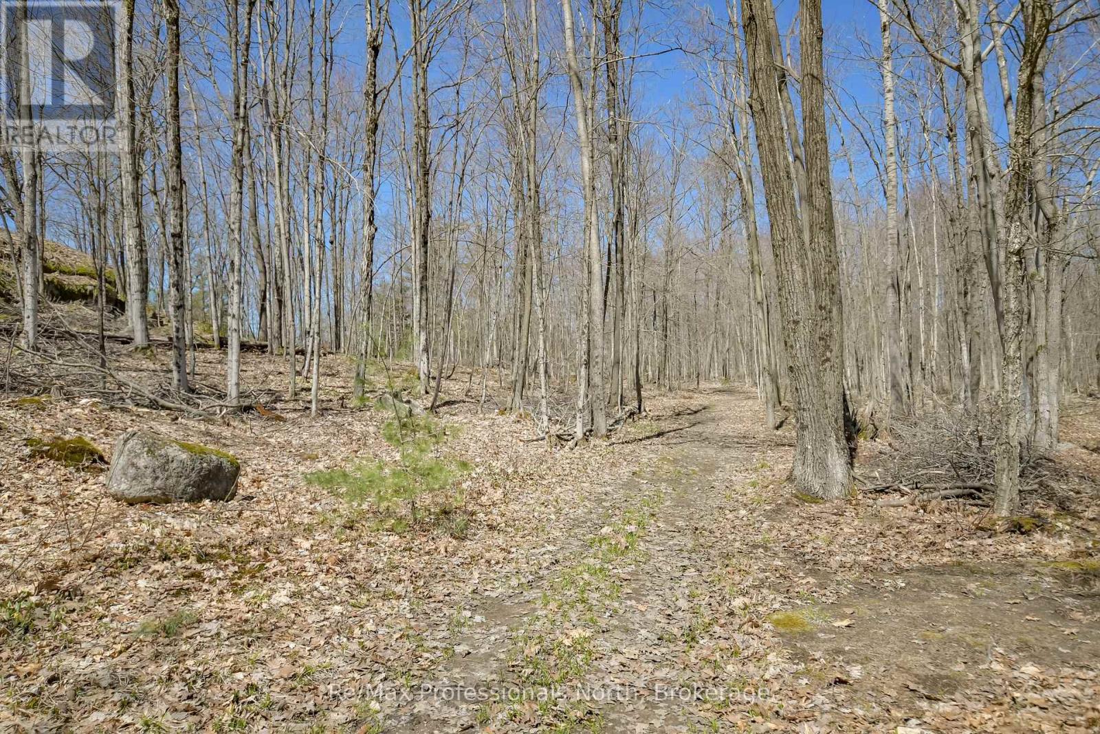 1017 Barlochan Road, Muskoka Lakes, Ontario  P1P 1R2 - Photo 39 - X12018767