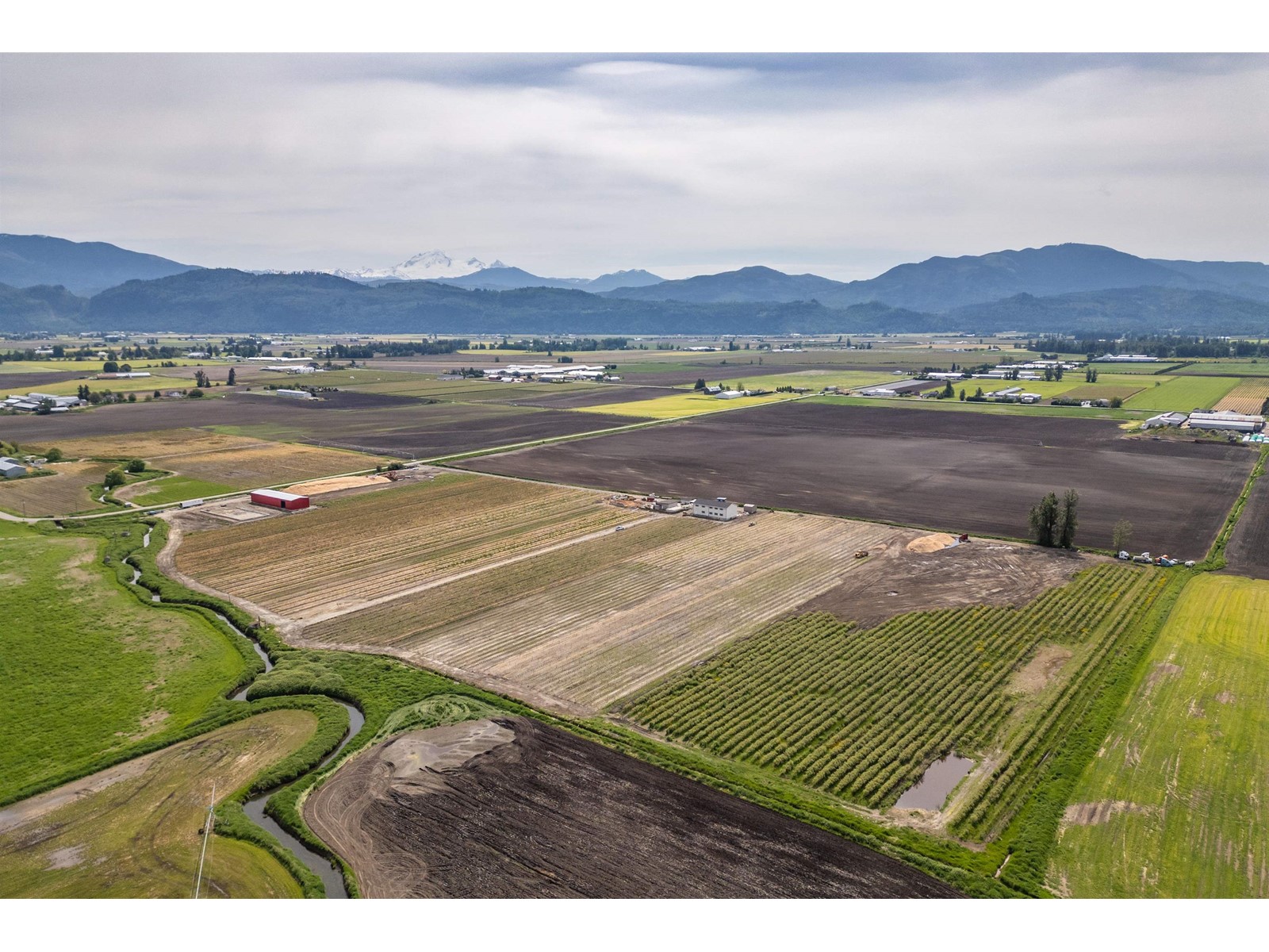 1245 Angus Campbell Road, Abbotsford, British Columbia  V3G 2G4 - Photo 9 - C8069163