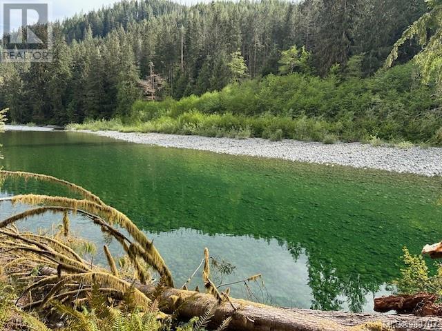 Ne1/4sec15 Gordon River Rd, Port Renfrew, British Columbia  V0S 1K0 - Photo 13 - 989707